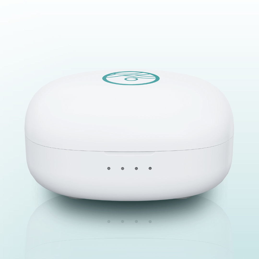 Luxury Charging Case (FREE)